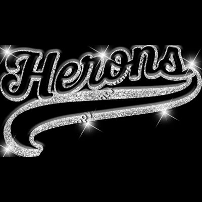 GLT78 SILVER GLITTER Thumbnail